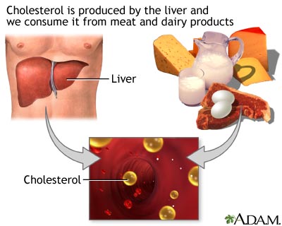 Cholesterol producers