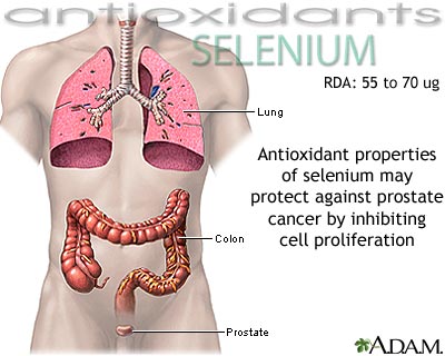 Selenium - antioxidant