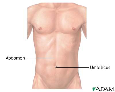 Normal external abdomen
