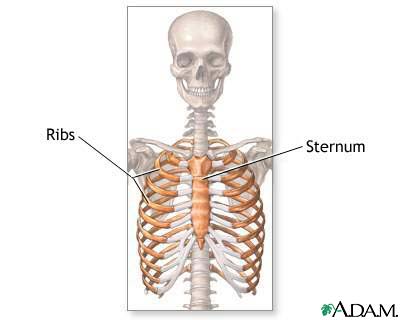 Skull anatomy: MedlinePlus Medical Encyclopedia Image